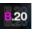 B20