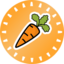 Carrot (CARROT)