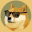 DOGE2.0