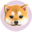 KIBSHI